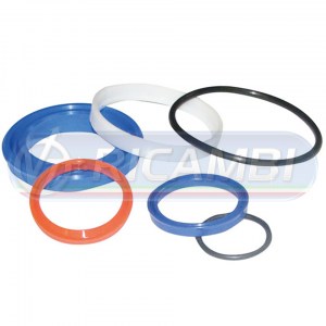 KIT GUARNIZIONI Ø40/70 SINGOLO EFFETTO DHOLLANDIA